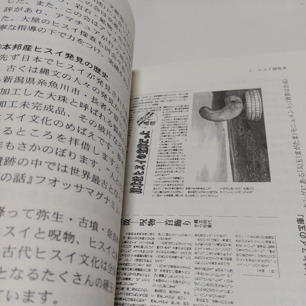 Amazon | 改訂版 白いヒスイ谷への招待 青山社 岡本真琴 工藤智巳 2004